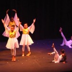 Young dancers go for gold in NCFA