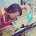 US students research Little Cayman’s reefs