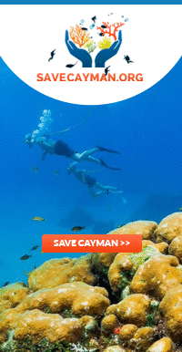 Save Cayman campaign 200×386 ad1 v2