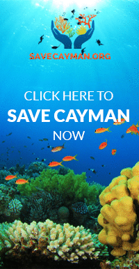Save Cayman campaign 200×386 ad4 v2