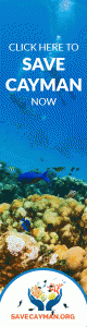 Cayman News Service