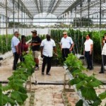 St Kitts agriculture officials tour Cayman farms