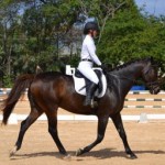 Riders warm up to winter dressage show