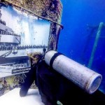 Kittiwake museum exhibit to open under the sea