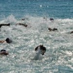 Call for swimmers for open-water relay