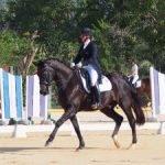 Cayman dressage teams named for Caribbean competition