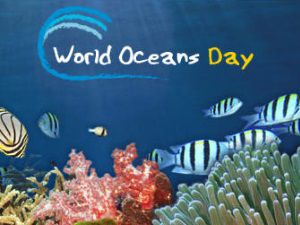 HRC’s Statement on World Oceans Day