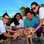 PAWS lends helping hand to Cayman’s canines