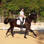 Riders put on show at dressage event