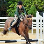 Equestrians jump through last show of season