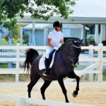 Cayman equestrians prove best in Caribbean