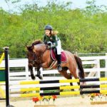 Annual awards name top equestrians