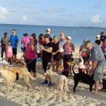 Strutters hit the beach to benefit dogs
