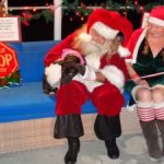 Santa helps support dog-rescue charity