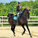 Cayman riders excel in ‘online’ equestrian tourney