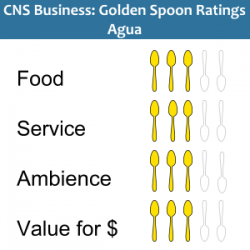 Golden Spoons Review: Agua