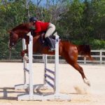 Equestrians put on final jumping show of season