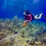 CCMI lecture looks at reef resilience