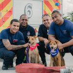 Quillan and Quinn find puppy love at Fire Service